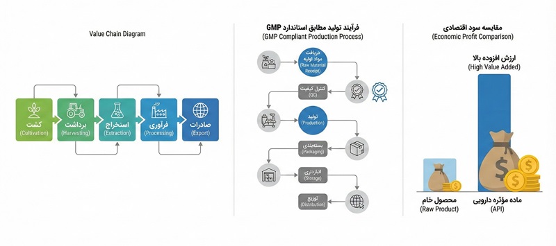 هیوسین؛ آلکالوئید استراتژیک از گیاهان دارویی تا صنعت داروسازی پیشرفته 3 0123bb71 9836 47e6 af75 2f094ed3b074