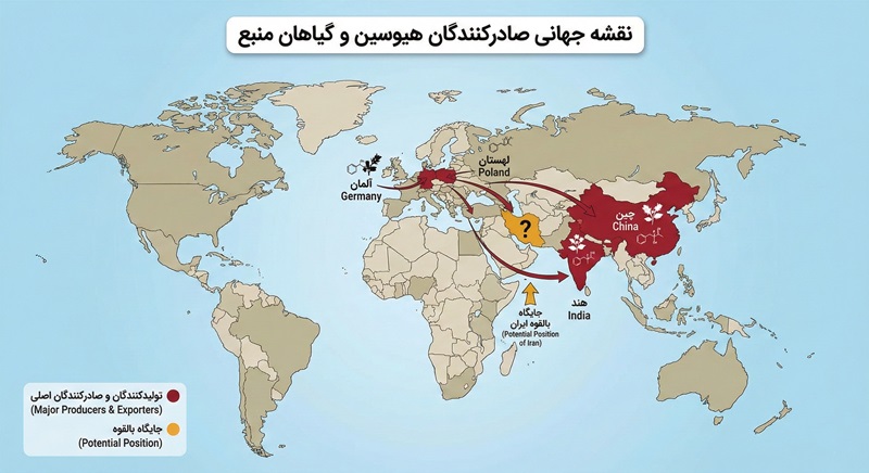 هیوسین؛ آلکالوئید استراتژیک از گیاهان دارویی تا صنعت داروسازی پیشرفته 4 123