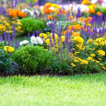 طراحی گلکاری باغچه حیاط