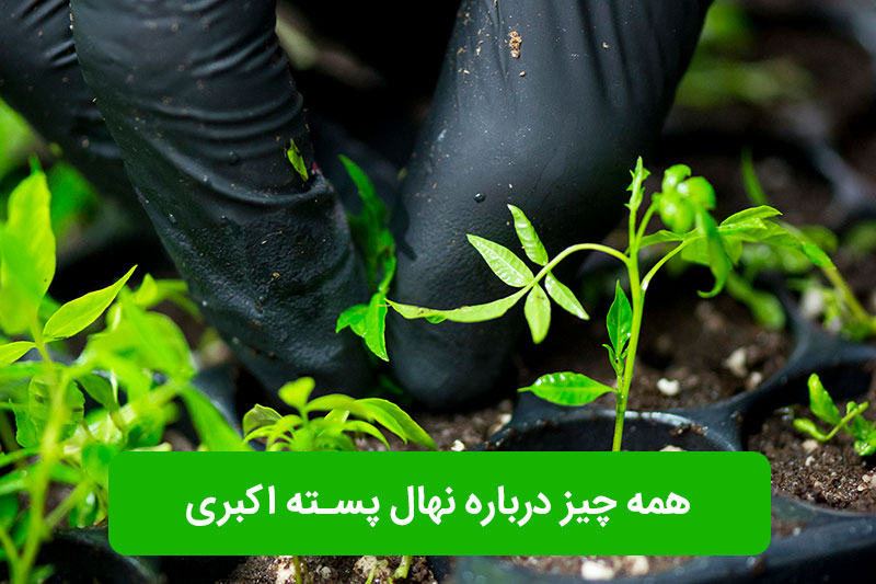 c7735fe6 2a06 4802 b083 3b7313b0d77d