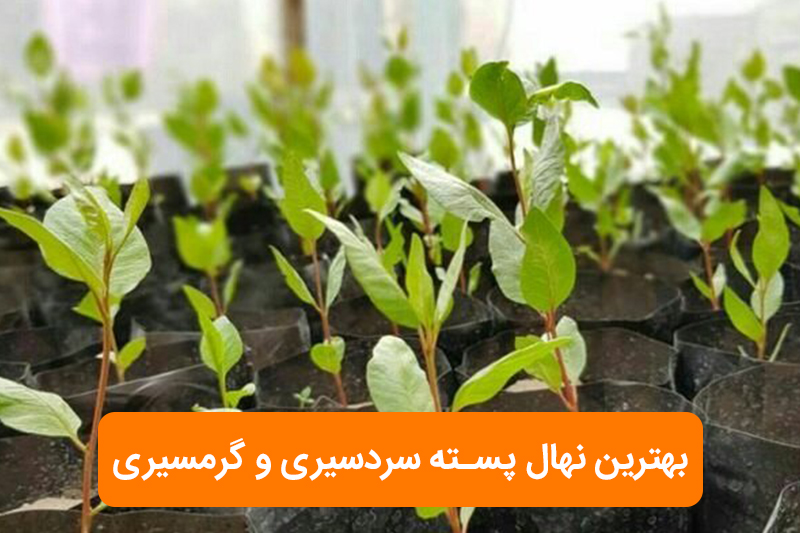 dd1e74bd 4264 4859 b8a7 ae5185bb952d