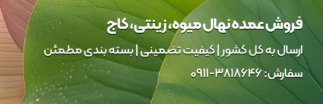 نام محلی درختان گیلان | معرفی گونههای بومی 2 Meysam 01