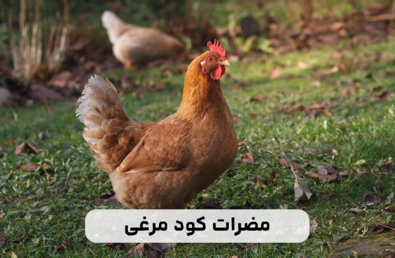 bf9f956a 279b 45a0 810e f5aa4e820dc3