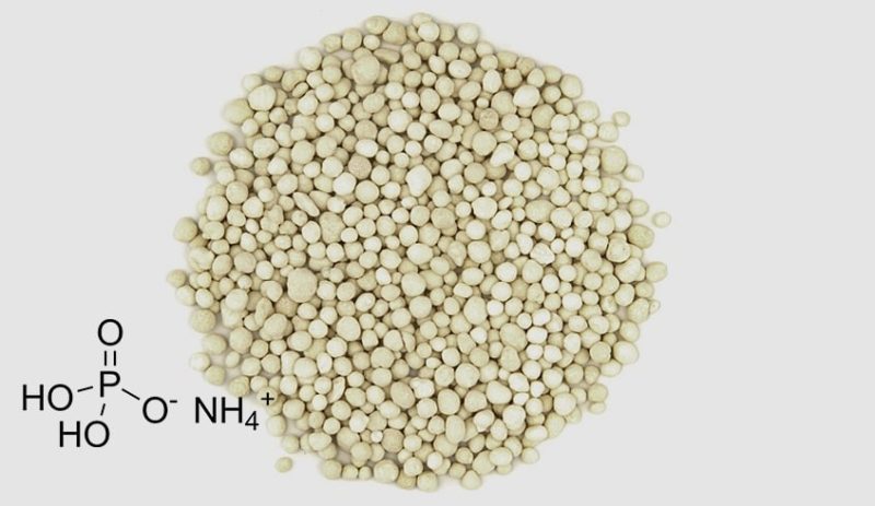 بهترین زمان مصرف کود مونو آمونیوم فسفات
