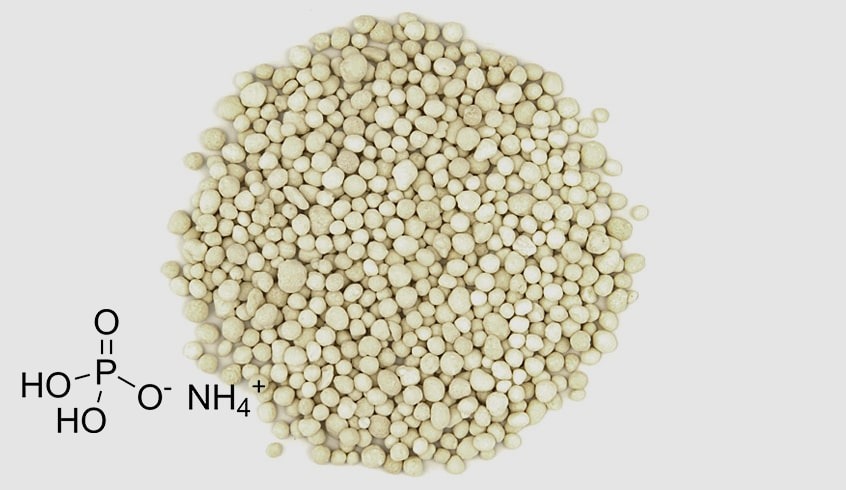 بهترین زمان مصرف کود مونو آمونیوم فسفات